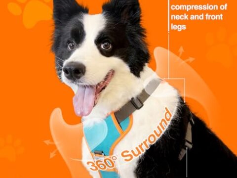 Fashion Plastic Dog Leash Ribbons Integrated Chest Harness Automatic Retractable Explosion-Proof Eco-Friendly Print Small Breed Dog Walking Harness