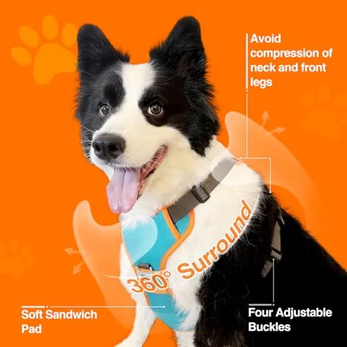 Fashion Plastic Dog Leash Ribbons Integrated Chest Harness Automatic Retractable Explosion-Proof Eco-Friendly Print Small Breed Dog Walking Harness